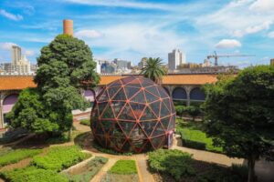 Laboratório de criação das borboletas será aberto a visitas pela primeira vez no Museu Catavento