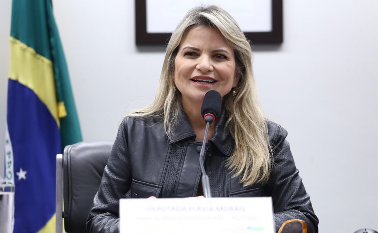 Audiência Pública - Vulnerabilidade de crianças e adolescentes na internet. Dep. Flávia Morais (PDT-GO)