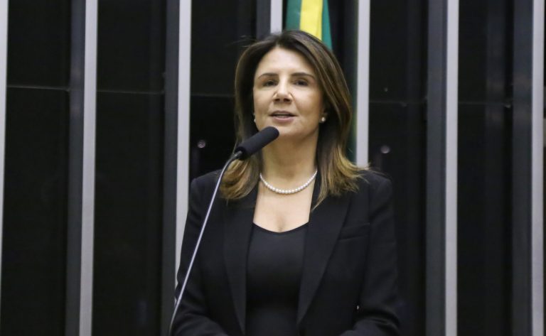 COP30 diante dos desafios ambientais em curso no Parlamento Brasileiro. Diretora Executiva da COP 30 no Brasil, Ana Amélia Campos Toni